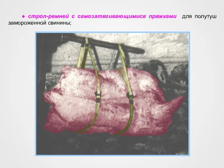 ● строп-ремней с самозатягивающимися пряжками для полутуш замороженной свинины;