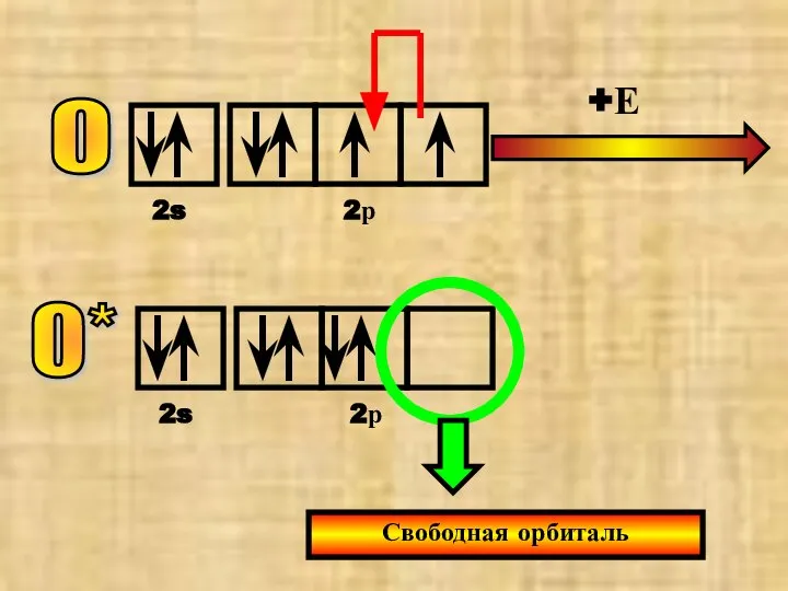 О 2s 2р +Е О* 2s 2р Свободная орбиталь