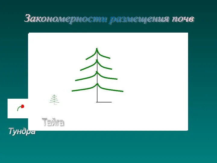 Тундра Тайга Закономерности размещения почв