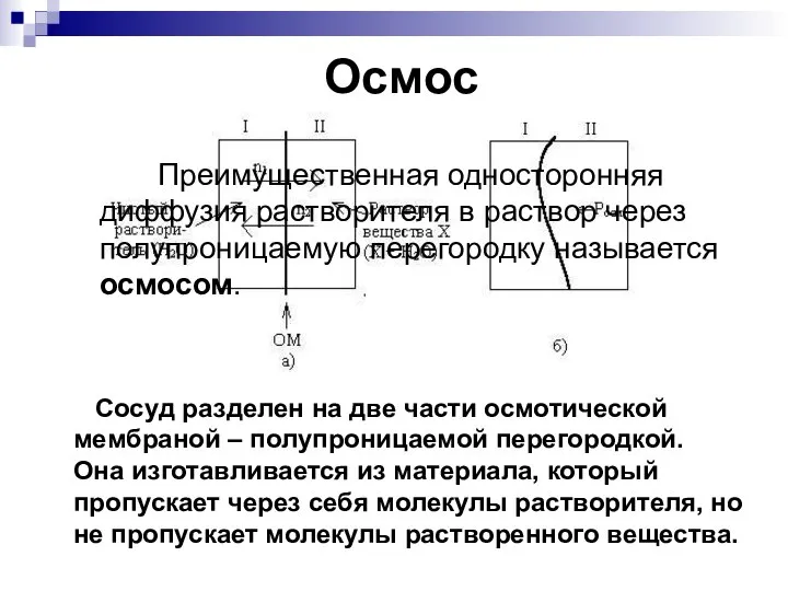 Осмос Сосуд разделен на две части осмотической мембраной – полупроницаемой перегородкой.