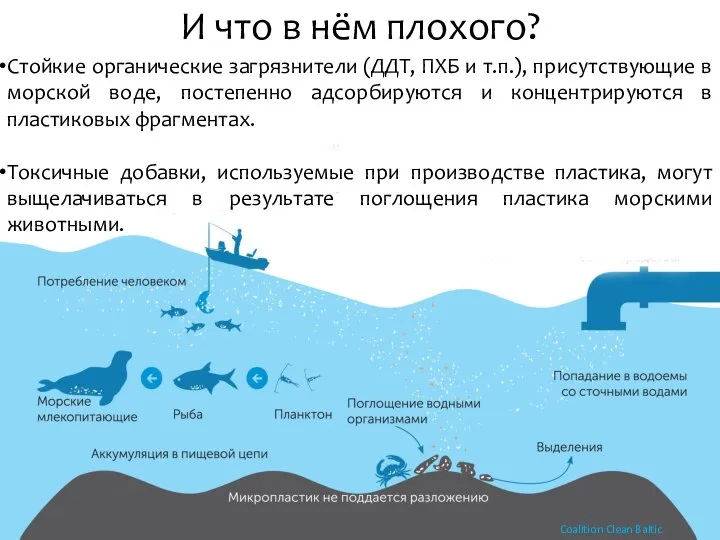 И что в нём плохого? Стойкие органические загрязнители (ДДТ, ПХБ и