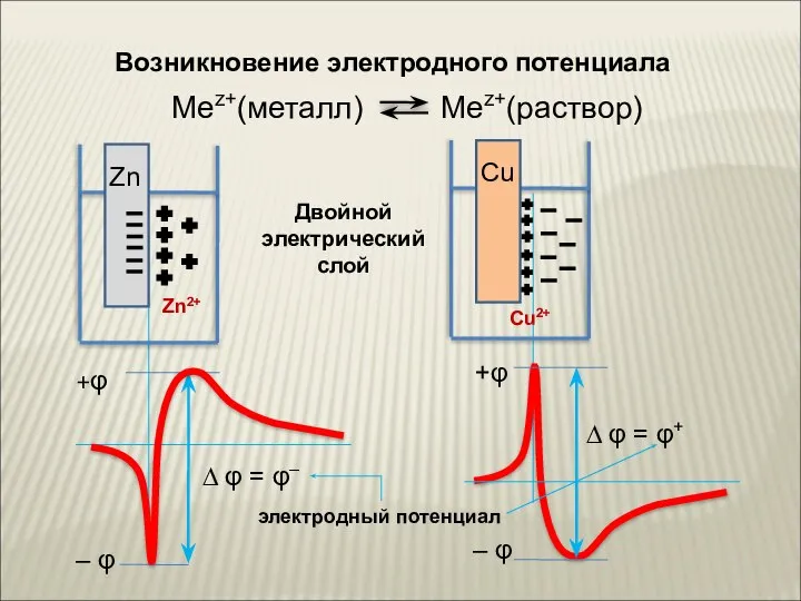 Возникновение электродного потенциала