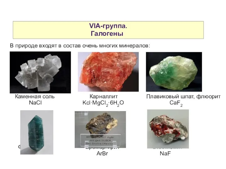 VIA-группа. Галогены В природе входят в состав очень многих минералов: Каменная