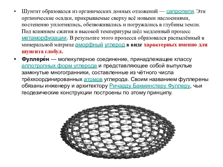 Шунгит образовался из органических донных отложений — сапропеля. Эти органические осадки,