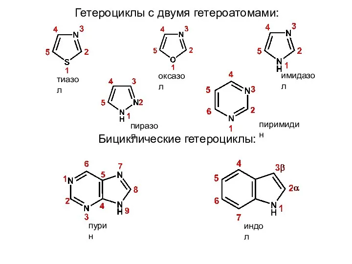 Гетероциклы с двумя гетероатомами: Бициклические гетероциклы: оксазол тиазол имидазол пиразол пиримидин пурин индол