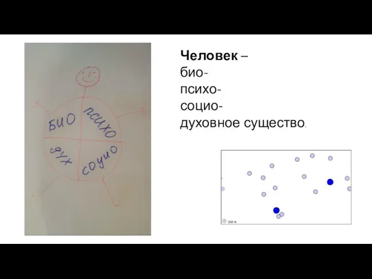 Человек – био- психо- социо- духовное существо.