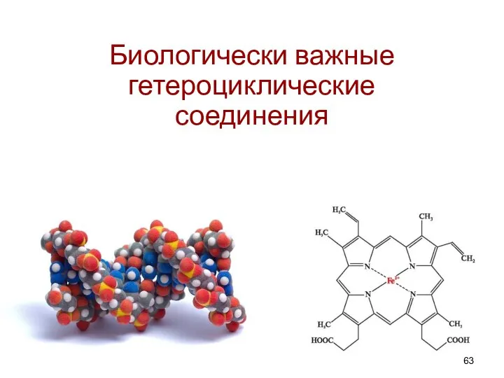 Биологически важные гетероциклические соединения