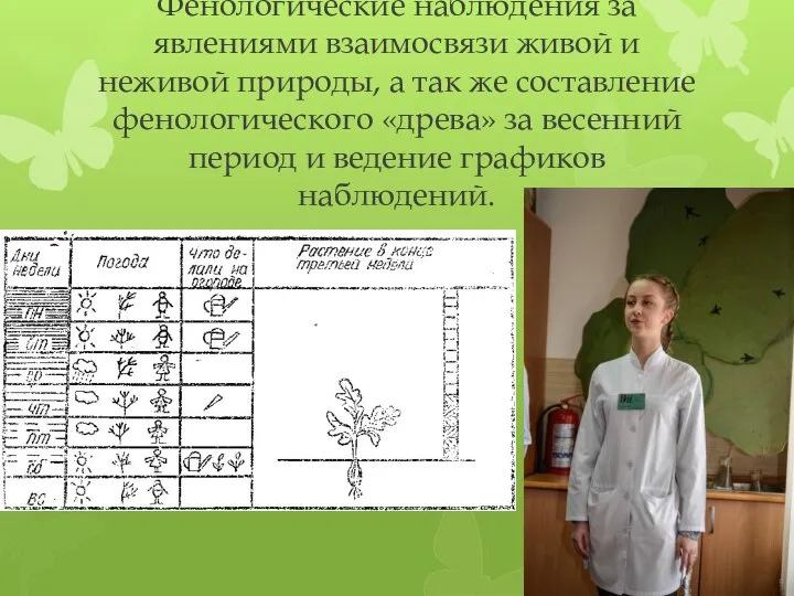 Фенологические наблюдения за явлениями взаимосвязи живой и неживой природы, а так