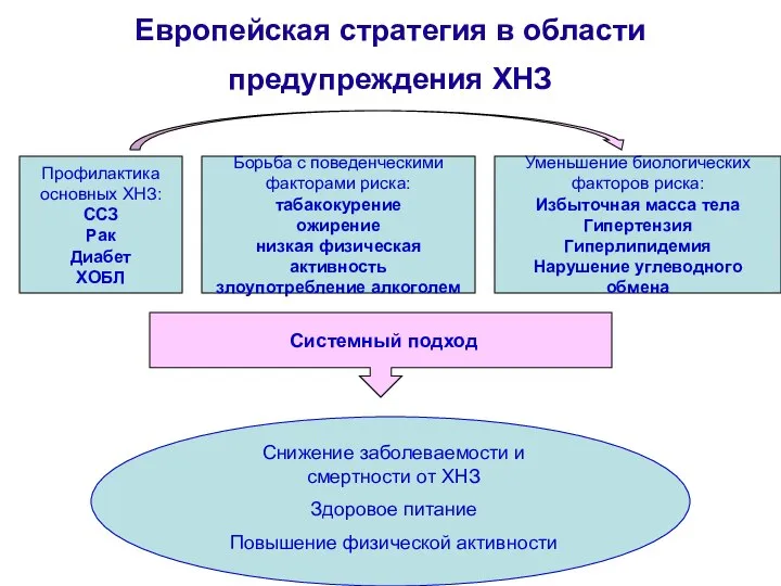 Европейская стратегия в области предупреждения ХНЗ Профилактика основных ХНЗ: ССЗ Рак