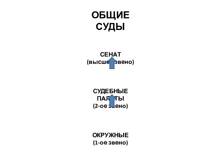 ОБЩИЕ СУДЫ СЕНАТ (высшее звено) СУДЕБНЫЕ ПАЛАТЫ (2-ое звено) ОКРУЖНЫЕ (1-ое звено)