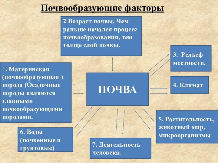 Почвообразующие факторы 1. Материнская (почвообразующая ) порода (Осадочные породы являются главными