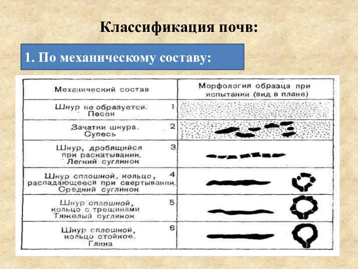 Классификация почв: 1. По механическому составу: