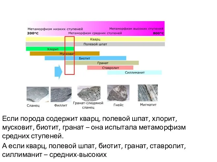 Если порода содержит кварц, полевой шпат, хлорит, мусковит, биотит, гранат –