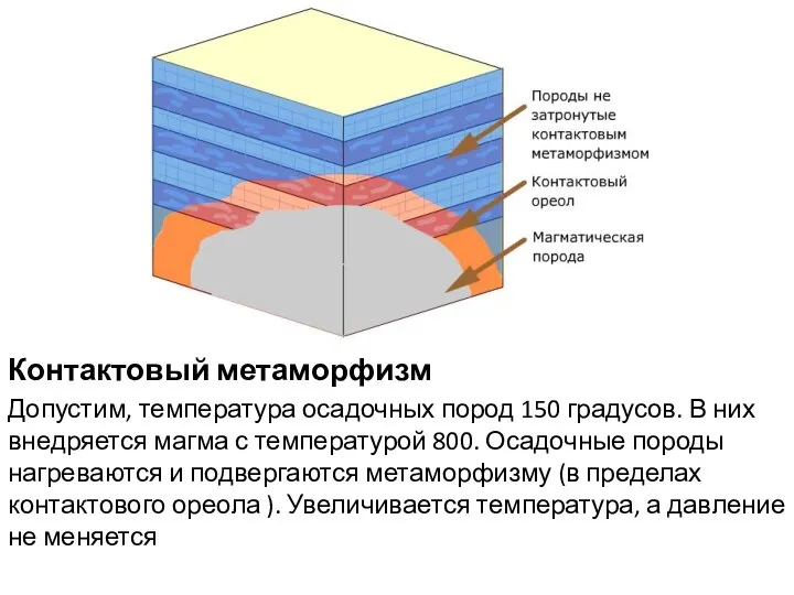 Контактовый метаморфизм Допустим, температура осадочных пород 150 градусов. В них внедряется