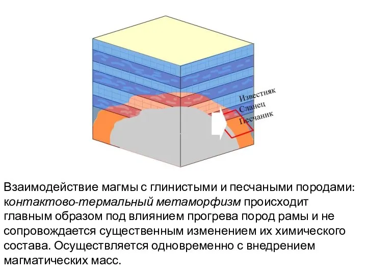 Взаимодействие магмы с глинистыми и песчаными породами: контактово-термальный метаморфизм происходит главным