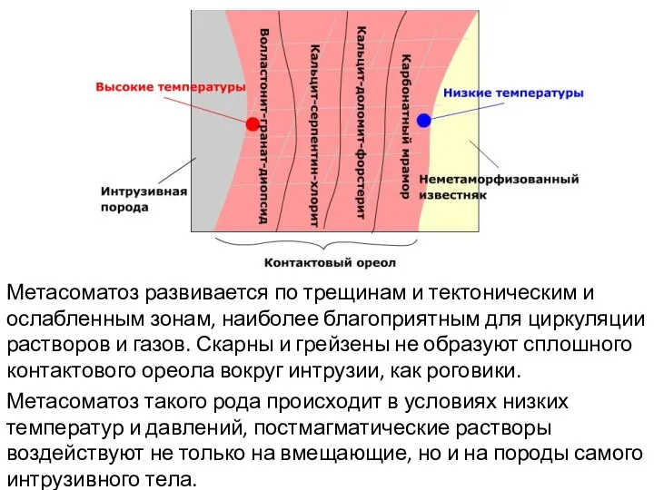 Метасоматоз развивается по трещинам и тектоническим и ослабленным зонам, наиболее благоприятным