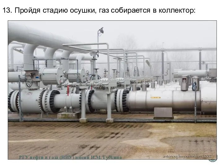 13. Пройдя стадию осушки, газ собирается в коллектор: РГУ нефти и газа (НИУ) имени И.М. Губкина