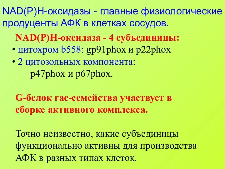 NAD(P)H-оксидазы - главные физиологические продуценты АФК в клетках сосудов. NAD(P)H-оксидаза -