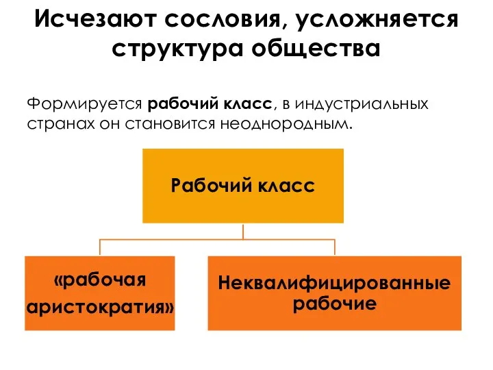 Исчезают сословия, усложняется структура общества Формируется рабочий класс, в индустриальных странах он становится неоднородным.