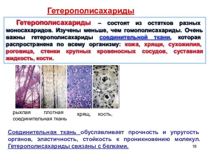 Гетерополисахариды Гетерополисахариды – состоят из остатков разных моносахаридов. Изучены меньше, чем