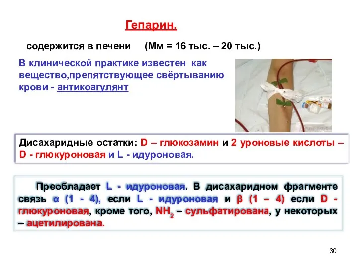 Дисахаридные остатки: D – глюкозамин и 2 уроновые кислоты – D