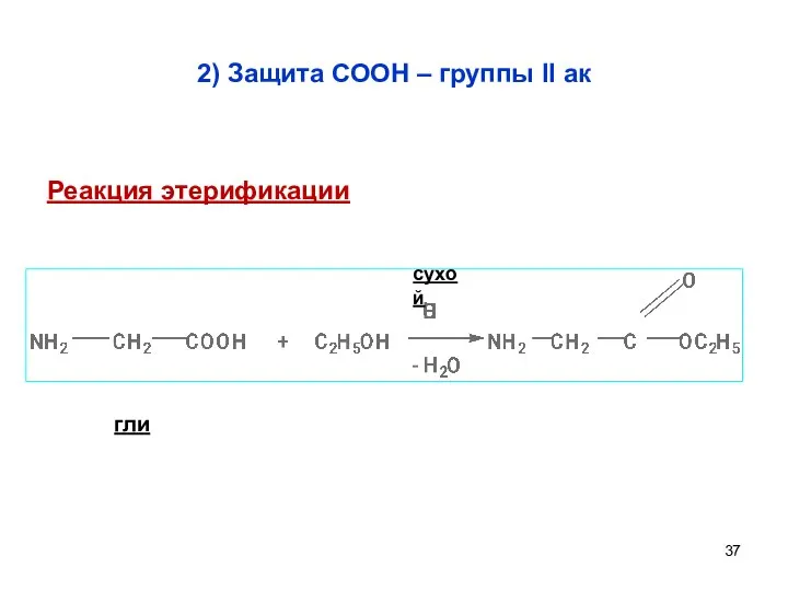 2) Защита СООН – группы II ак сухой гли Реакция этерификации