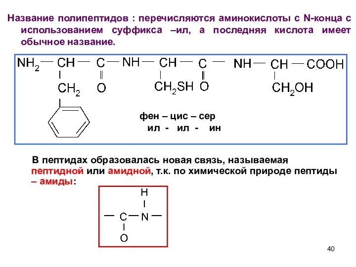 Название полипептидов : перечисляются аминокислоты с N-конца с использованием суффикса –ил,