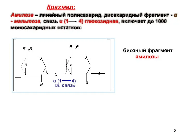 Амилоза – линейный полисахарид, дисахаридный фрагмент - α - мальтоза, связь