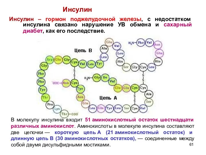 Инсулин – гормон поджелудочной железы, с недостатком инсулина связано нарушение УВ