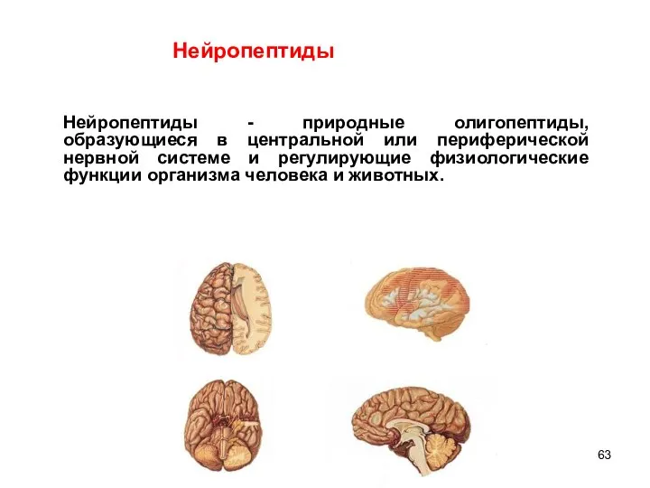 Нейропептиды - природные олигопептиды, образующиеся в центральной или периферической нервной системе