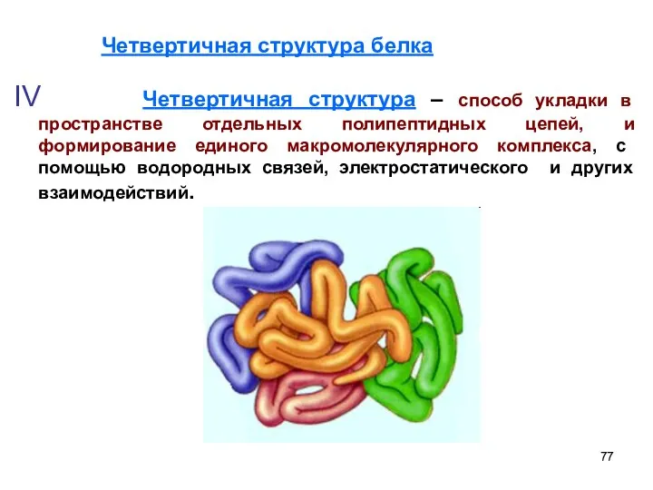 IV Четвертичная структура – способ укладки в пространстве отдельных полипептидных цепей,