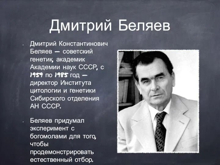 Дмитрий Беляев Дмитрий Константинович Беляев — советский генетик, академик Академии наук