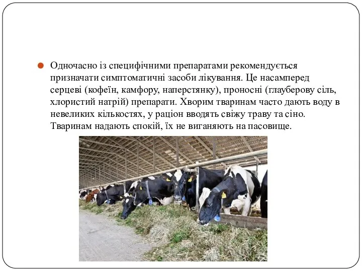 Одночасно із специфічними препаратами рекомендується призначати симптоматичні засоби лікування. Це насамперед