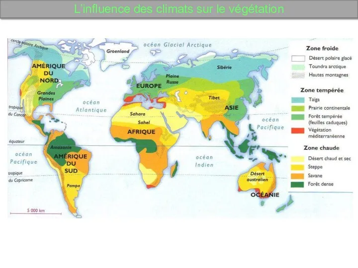 L’influence des climats sur le végétation