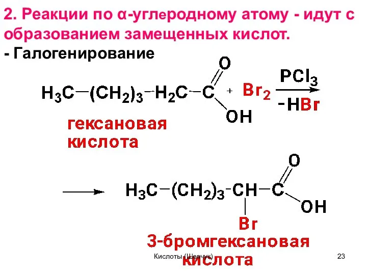 2. Реакции по α-углеродному атому - идут с образованием замещенных кислот. - Галогенирование Кислоты (Шевчук)