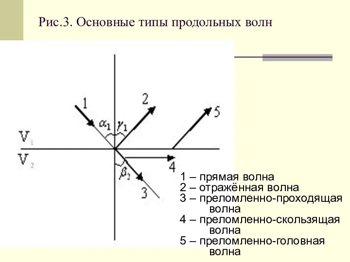 Рис.3. Основные типы продольных волн 1 – прямая волна 2 –