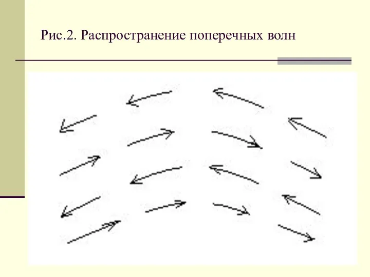 Рис.2. Распространение поперечных волн