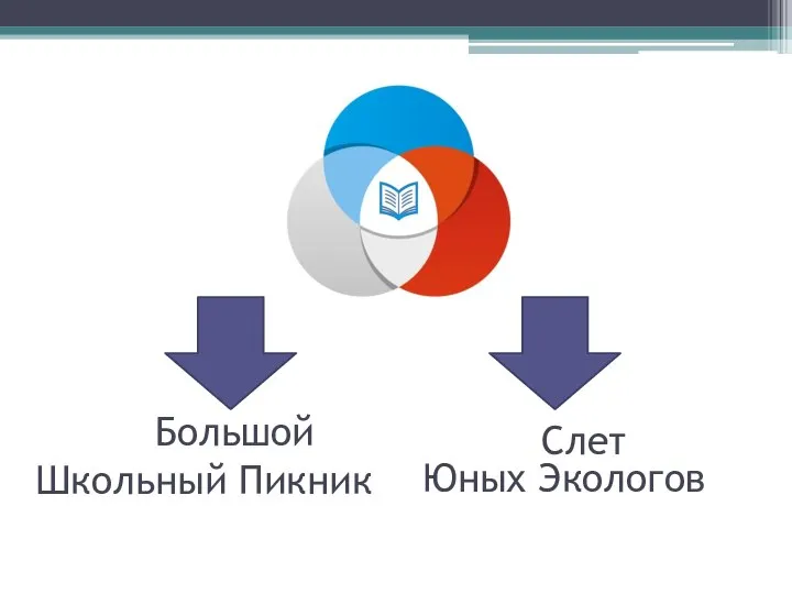 Большой Школьный Пикник Слет Юных Экологов