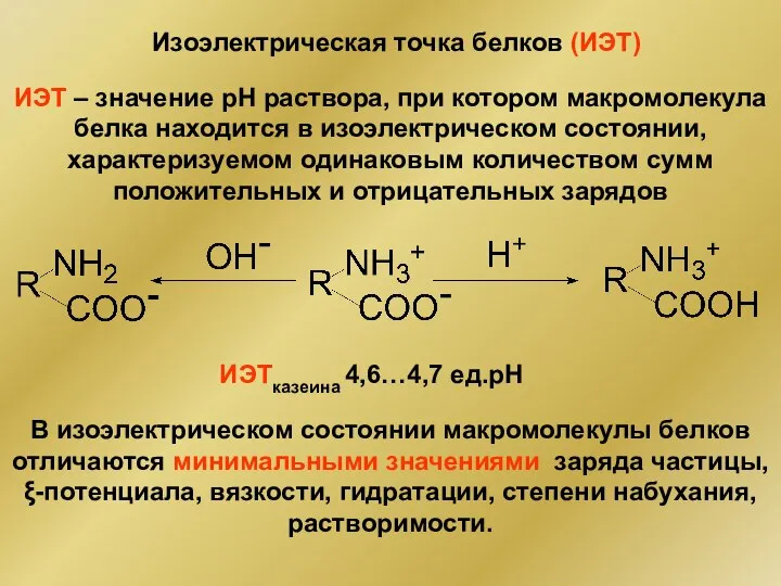 Изоэлектрическая точка белков (ИЭТ) ИЭТ – значение рН раствора, при котором