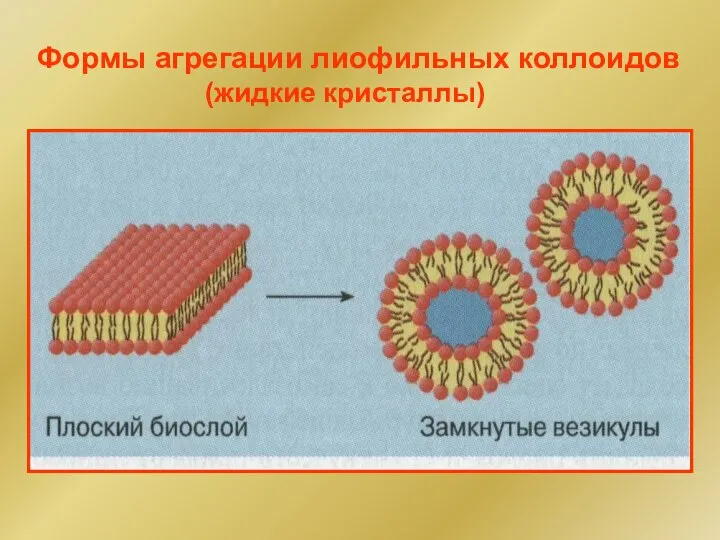 Формы агрегации лиофильных коллоидов (жидкие кристаллы)