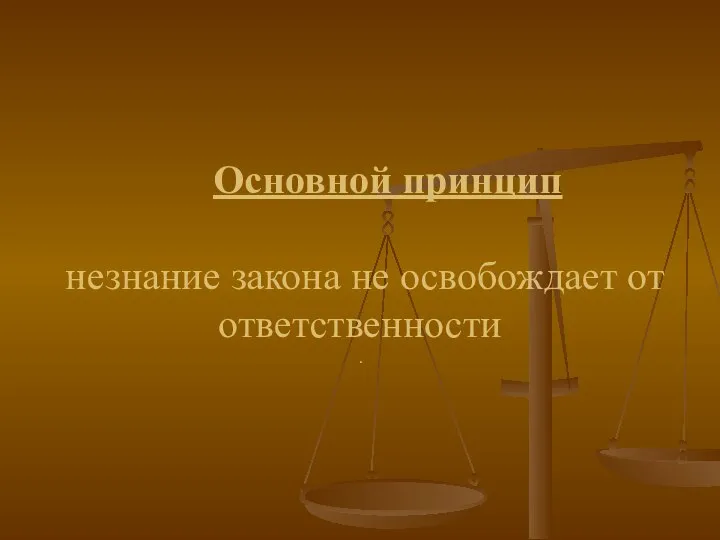 Основной принцип незнание закона не освобождает от ответственности .