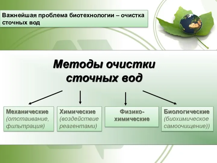 Важнейшая проблема биотехнологии – очистка сточных вод