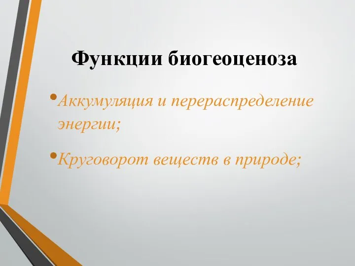 Функции биогеоценоза Аккумуляция и перераспределение энергии; Круговорот веществ в природе;