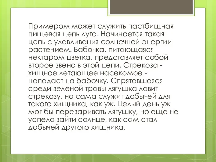 Примером может служить пастбищная пищевая цепь луга. Начинается такая цепь с