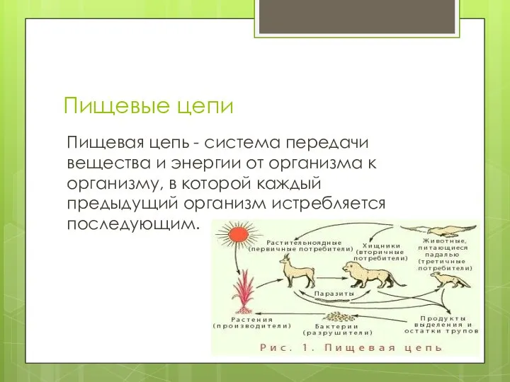 Пищевые цепи Пищевая цепь - система передачи вещества и энергии от