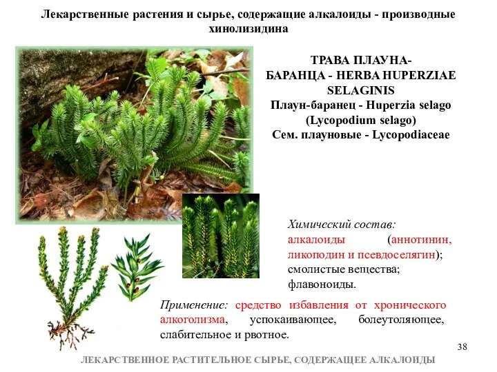 ЛЕКАРСТВЕННОЕ РАСТИТЕЛЬНОЕ СЫРЬЕ, СОДЕРЖАЩЕЕ АЛКАЛОИДЫ Лекарственные растения и сырье, содержащие алкалоиды