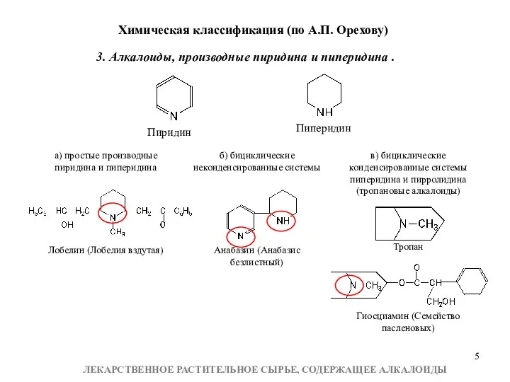 3. Алкалоиды, производные пиридина и пиперидина . Пиридин Пиперидин Химическая классификация