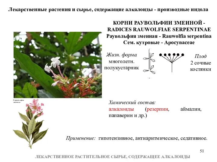 ЛЕКАРСТВЕННОЕ РАСТИТЕЛЬНОЕ СЫРЬЕ, СОДЕРЖАЩЕЕ АЛКАЛОИДЫ Лекарственные растения и сырье, содержащие алкалоиды