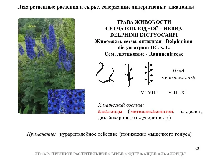 ЛЕКАРСТВЕННОЕ РАСТИТЕЛЬНОЕ СЫРЬЕ, СОДЕРЖАЩЕЕ АЛКАЛОИДЫ Лекарственные растения и сырье, содержащие дитерпеновые