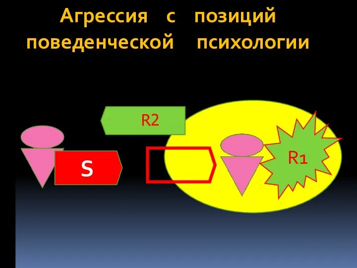 Агрессия с позиций поведенческой психологии S R1